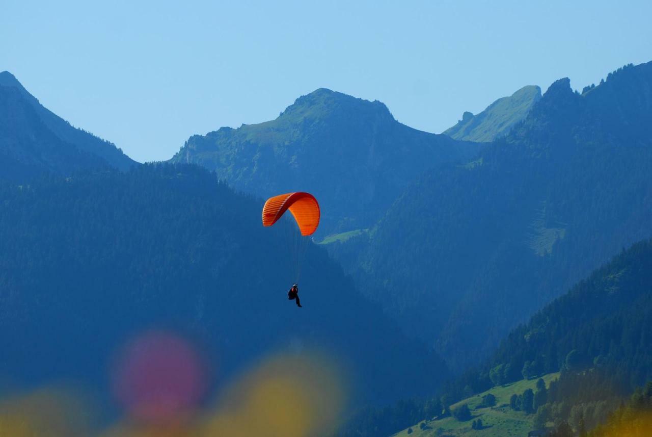 Chalet Peterets Samoëns Zewnętrze zdjęcie